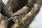 dsc09956_small.jpg