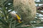 dsc00669_small.jpg
