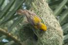 dsc00734_small.jpg