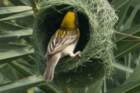 dsc00736_small.jpg