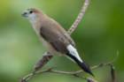 dsc00854_small.jpg