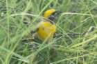 dsc00857_small.jpg