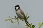 dsc01522_small.jpg
