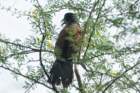 dsc01573_small.jpg