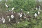 dsc01617_small.jpg
