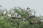 dsc01624_small.jpg
