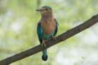 dsc01644_small.jpg