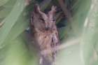 dsc01742_small.jpg