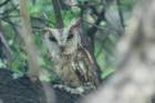 dsc01782_small.jpg