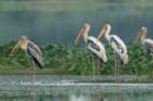 dsc01158_small.jpg
