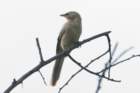dsc01189_small.jpg