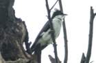 dsc01221_small.jpg