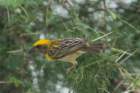 dsc01245_small.jpg