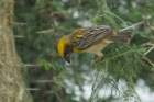 dsc01246_small.jpg