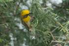 dsc01251_small.jpg