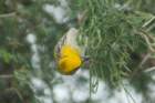 dsc01255_small.jpg