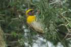 dsc01257_small.jpg