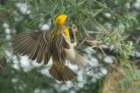 dsc01261_small.jpg
