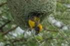 dsc01270_small.jpg