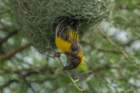 dsc01271_small.jpg