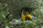 dsc01272_small.jpg
