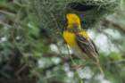 dsc01282_small.jpg