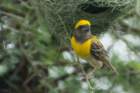 dsc01289_small.jpg