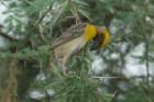 dsc01316_small.jpg