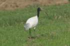 dsc01388_small.jpg