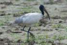 dsc01397_small.jpg