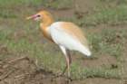 dsc01481_small.jpg
