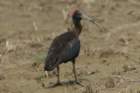 dsc01494_small.jpg