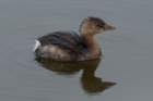 dsc03722_small.jpg