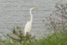 dsc03789_small.jpg