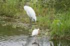 dsc03828_small.jpg