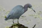 dsc03836_small.jpg