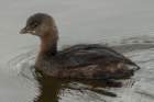 dsc03854_small.jpg