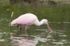 dsc03895_small.jpg