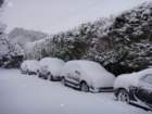 dsc00867_small.jpg