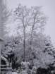 dsc00869_small.jpg