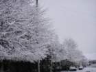 dsc00870_small.jpg