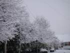 dsc00871_small.jpg