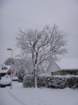dsc00872_small.jpg