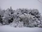 dsc00874_small.jpg