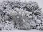 dsc00875_small.jpg