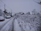 dsc00876_small.jpg