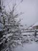 dsc00878_small.jpg