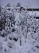 dsc00879_small.jpg