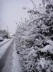 dsc00880_small.jpg