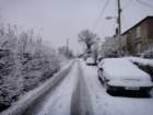 dsc00881_small.jpg
